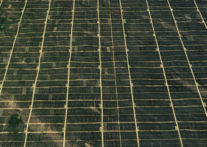 Una de las zonas más áridas de China está reverdeciendo. El motivo: un planta con siete millones de paneles solares